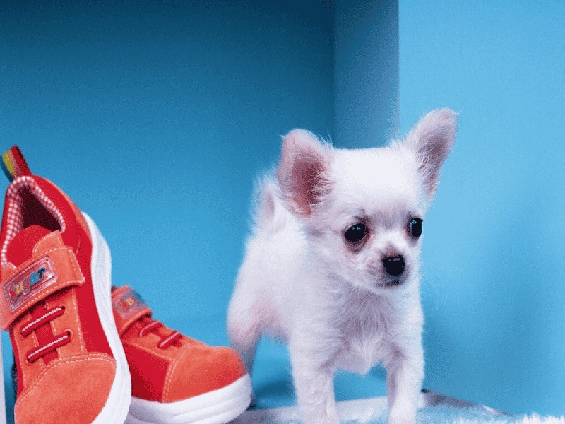 试管血的位置(试管合成小游戏)